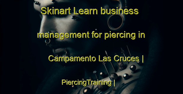 Skinart Learn business management for piercing in Campamento Las Cruces | PiercingTraining | PiercingClasses | SkinartTraining-Mexico